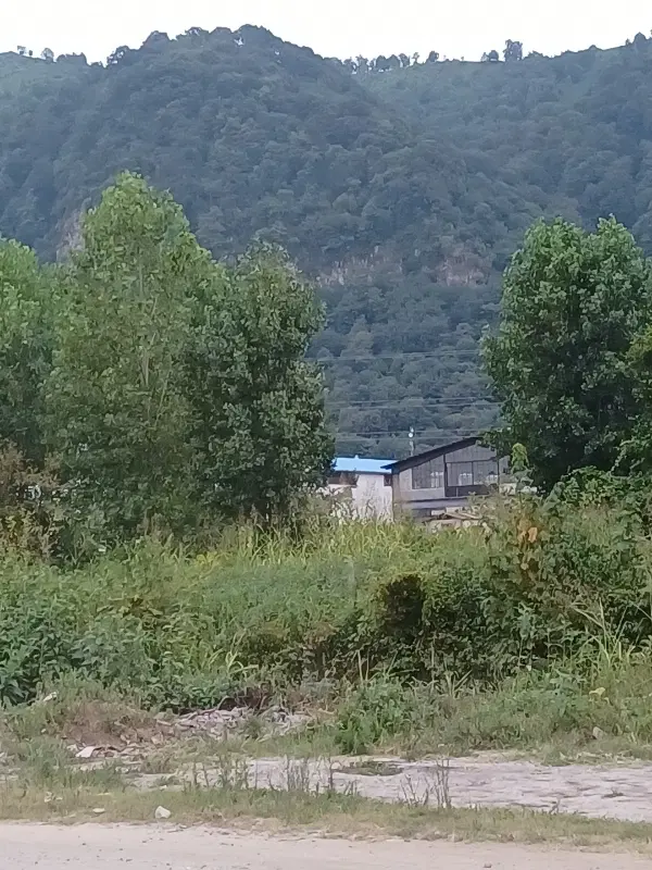 تصویر املاک 120660