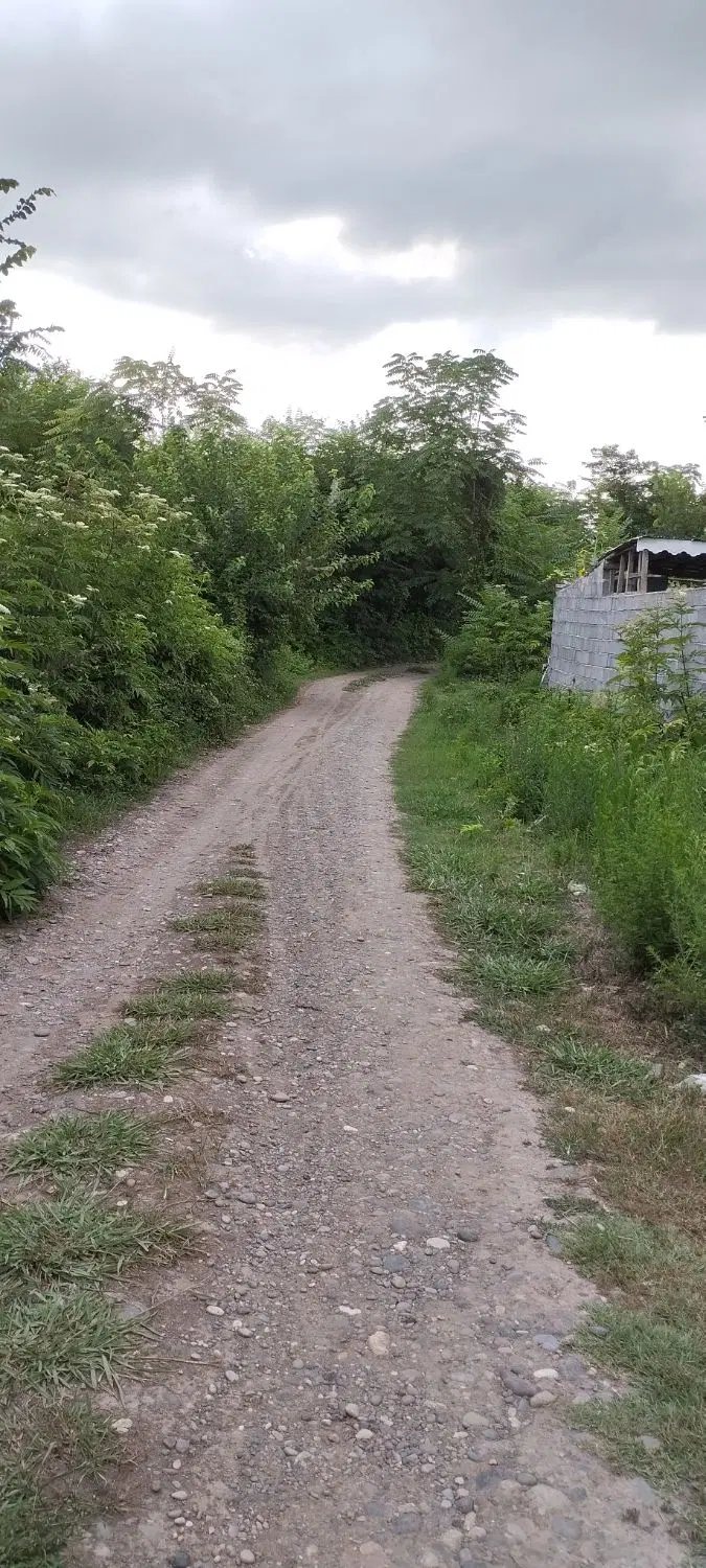 تصویر املاک 91714