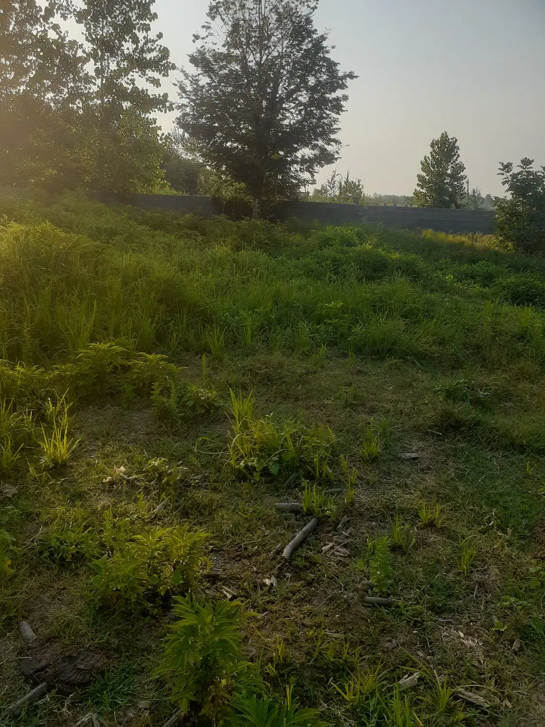 تصویر املاک 101625