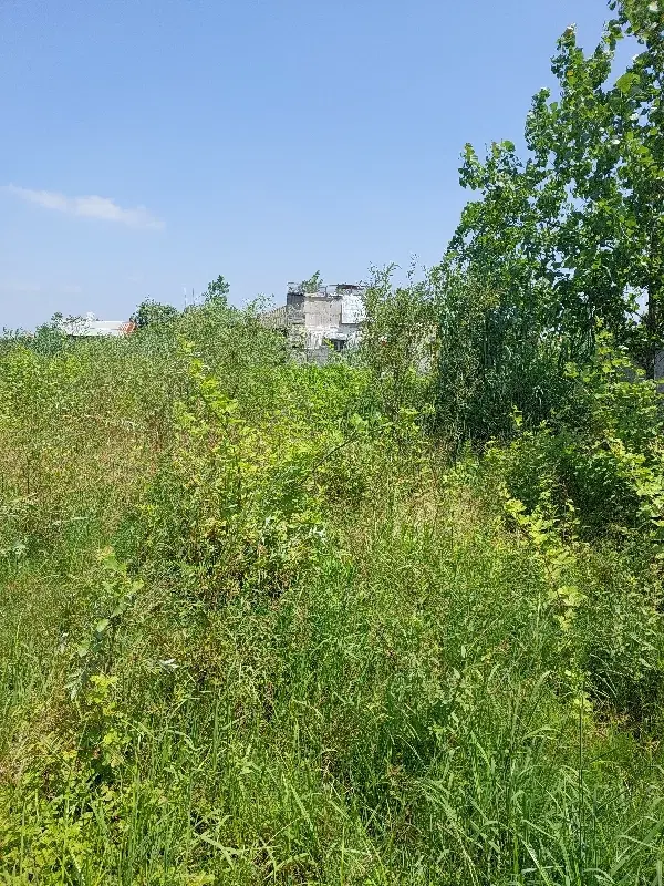 تصویر املاک 48526