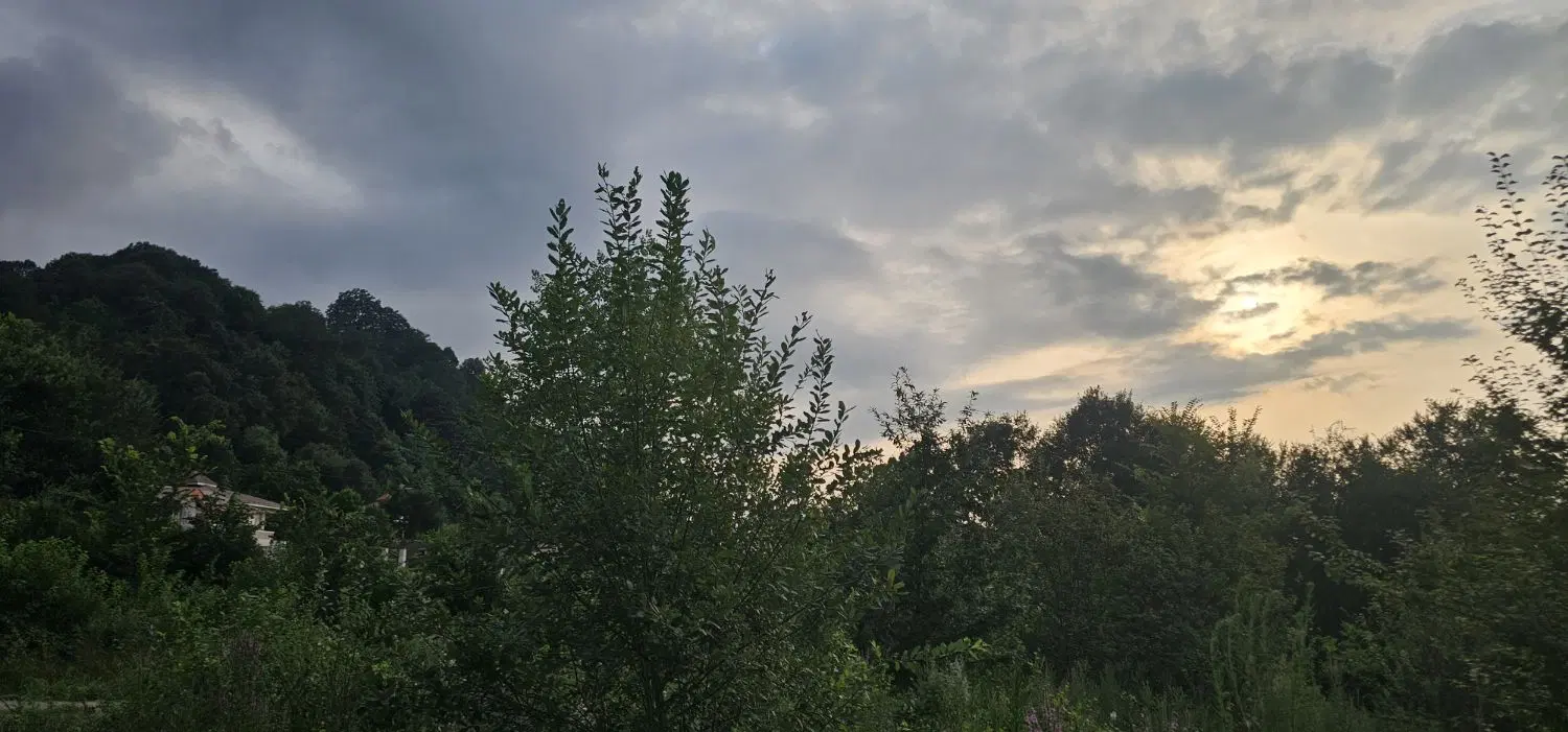 تصویر املاک 79287