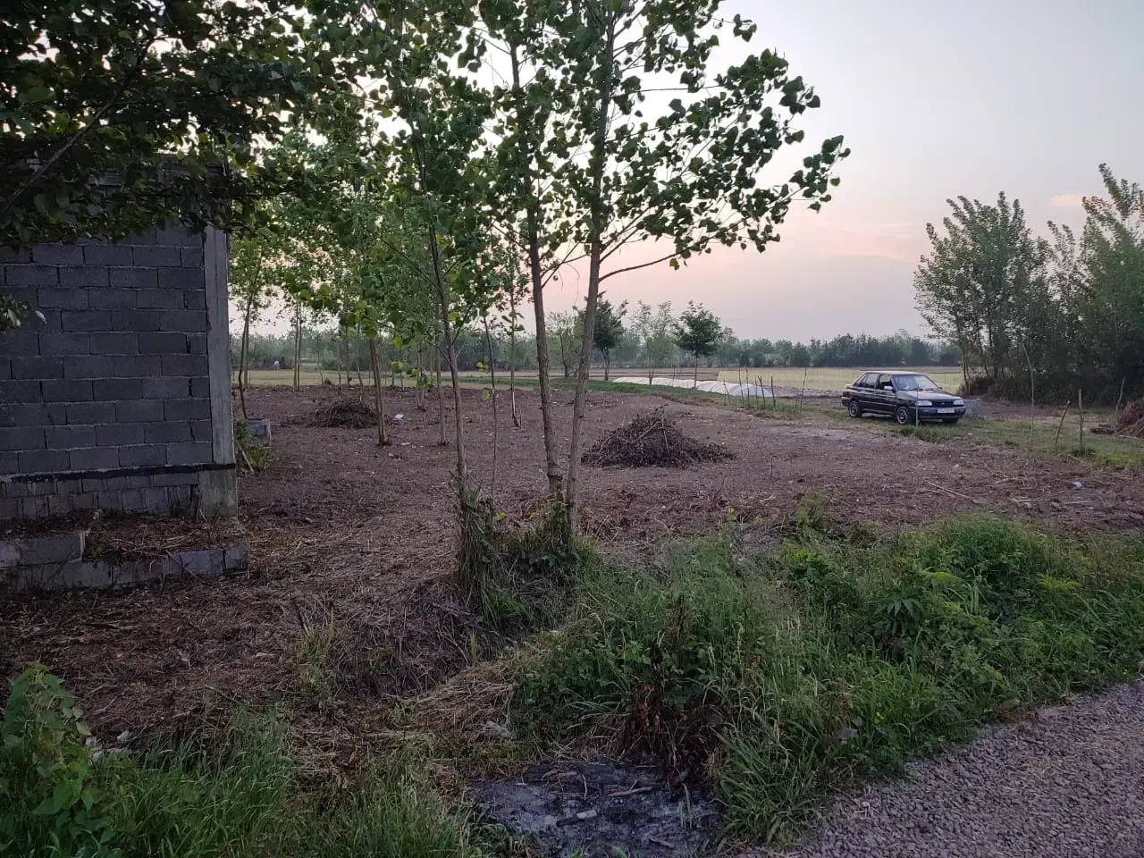 تصویر املاک 88131