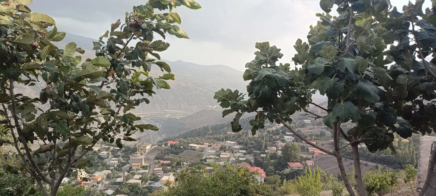 تصویر املاک 118542