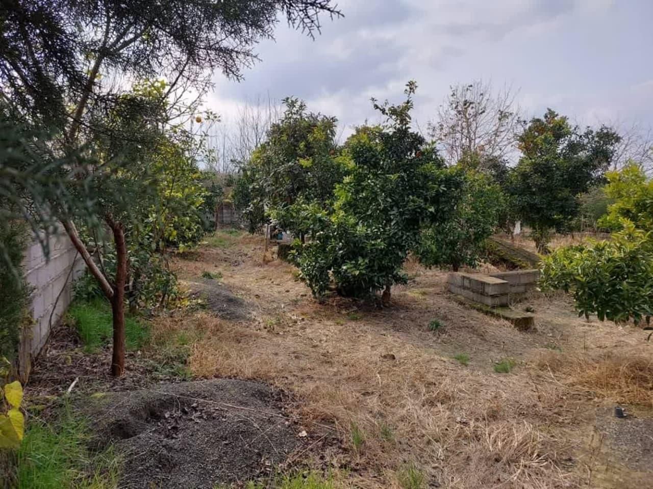 تصویر املاک 73964