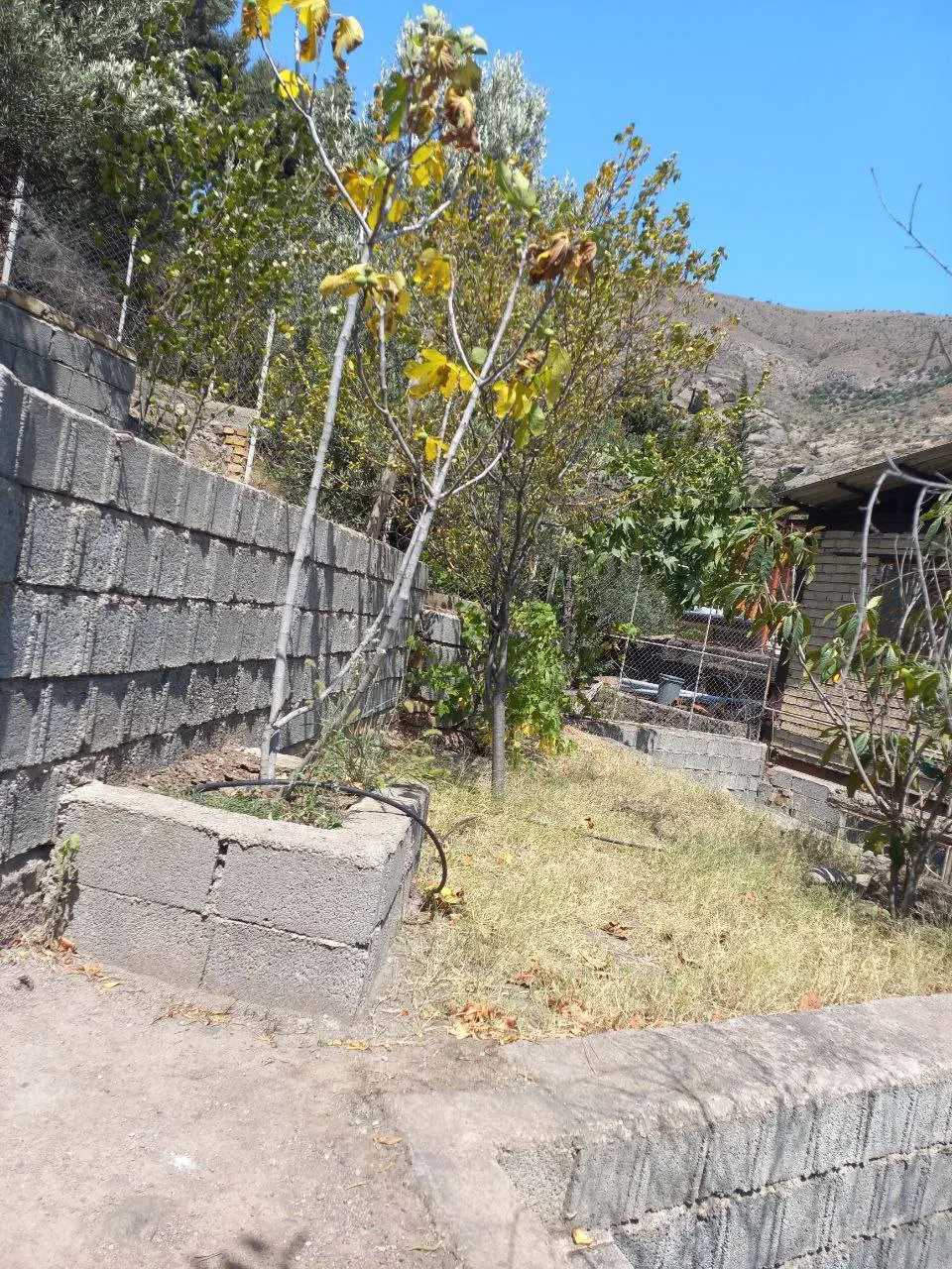 تصویر املاک 118500