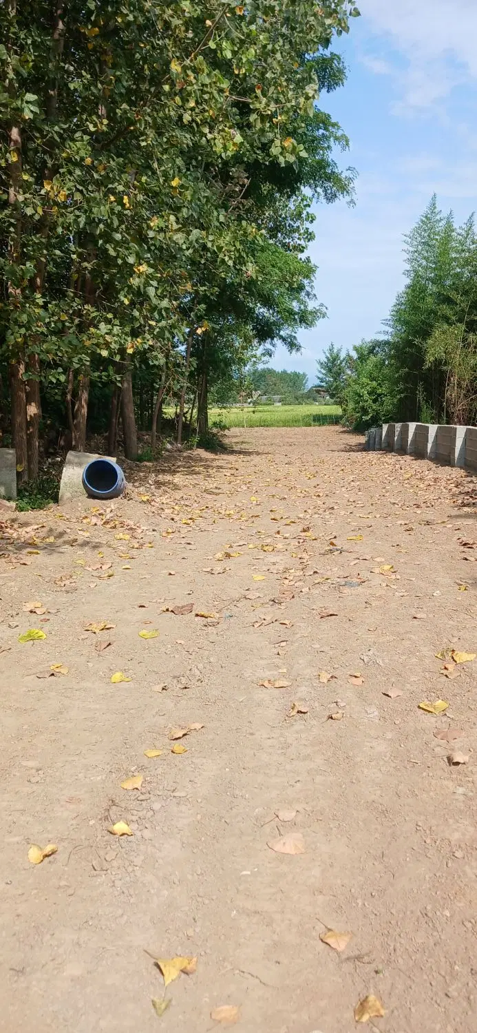 تصویر املاک 130803