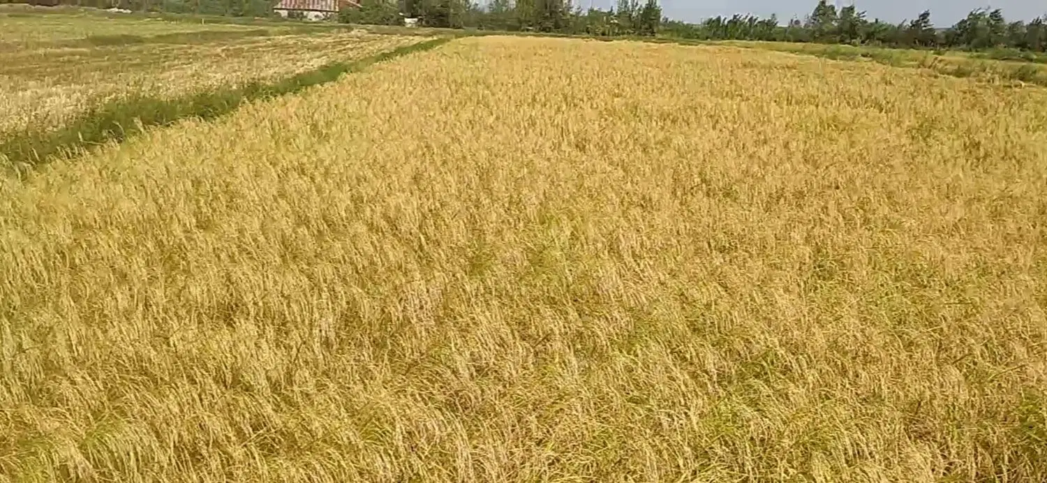 تصویر املاک 113070