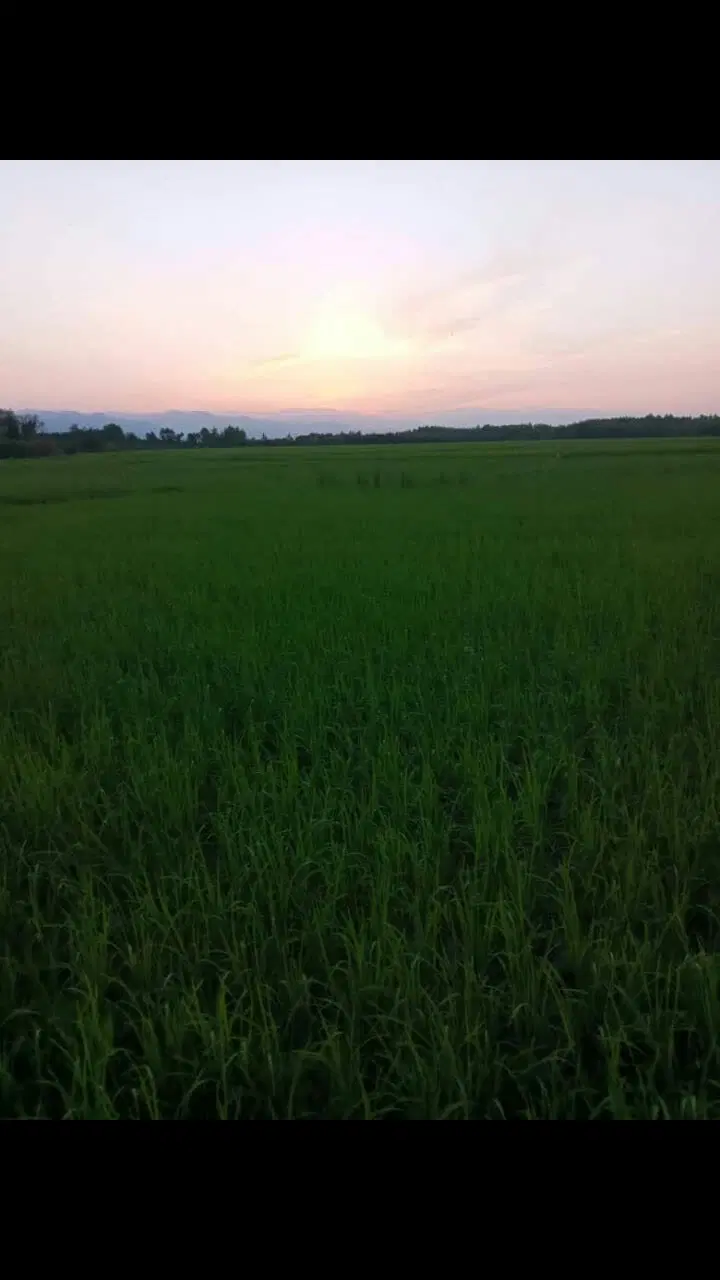 تصویر املاک 98280