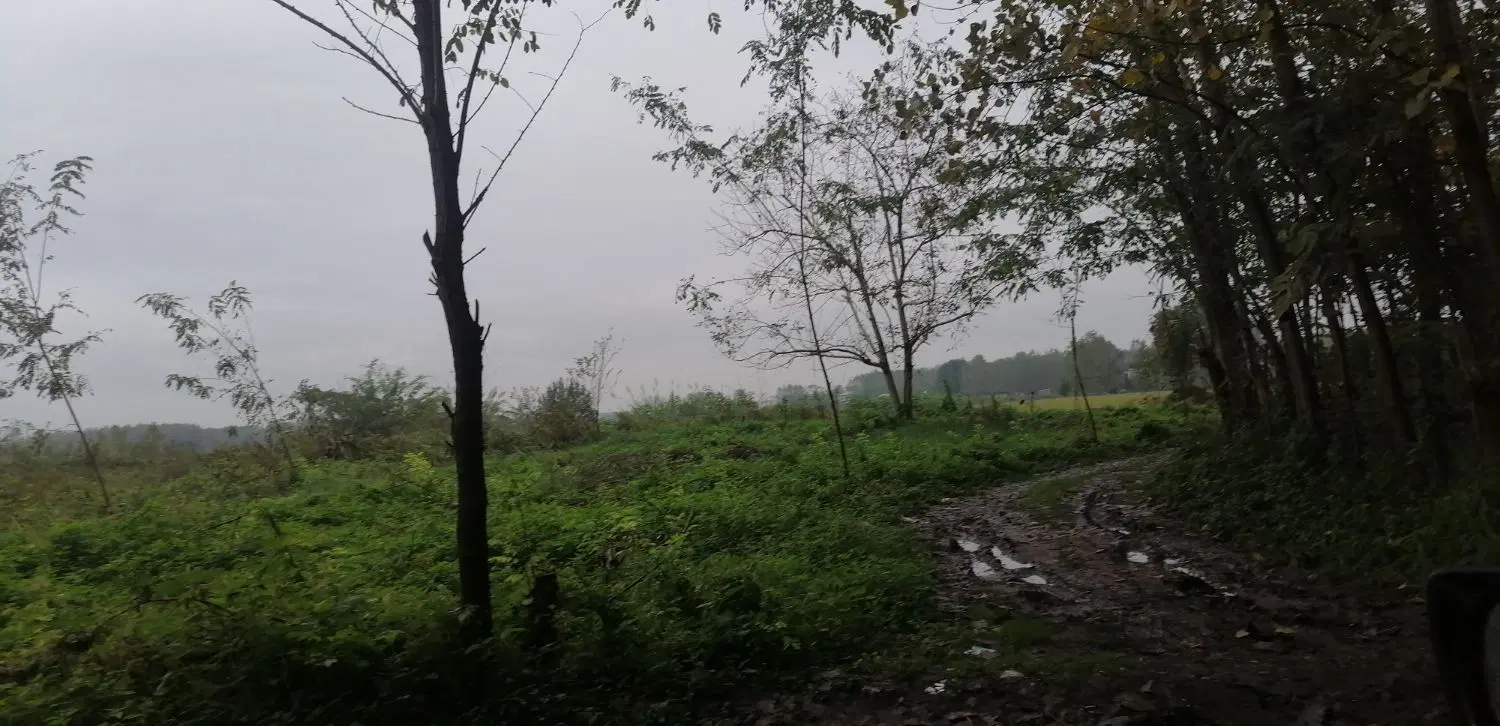 تصویر املاک 144568