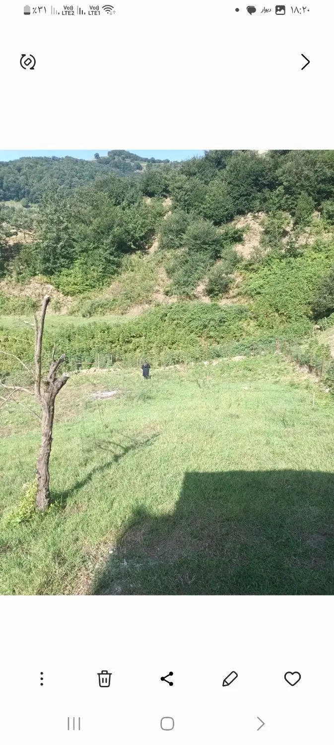 تصویر املاک 98455