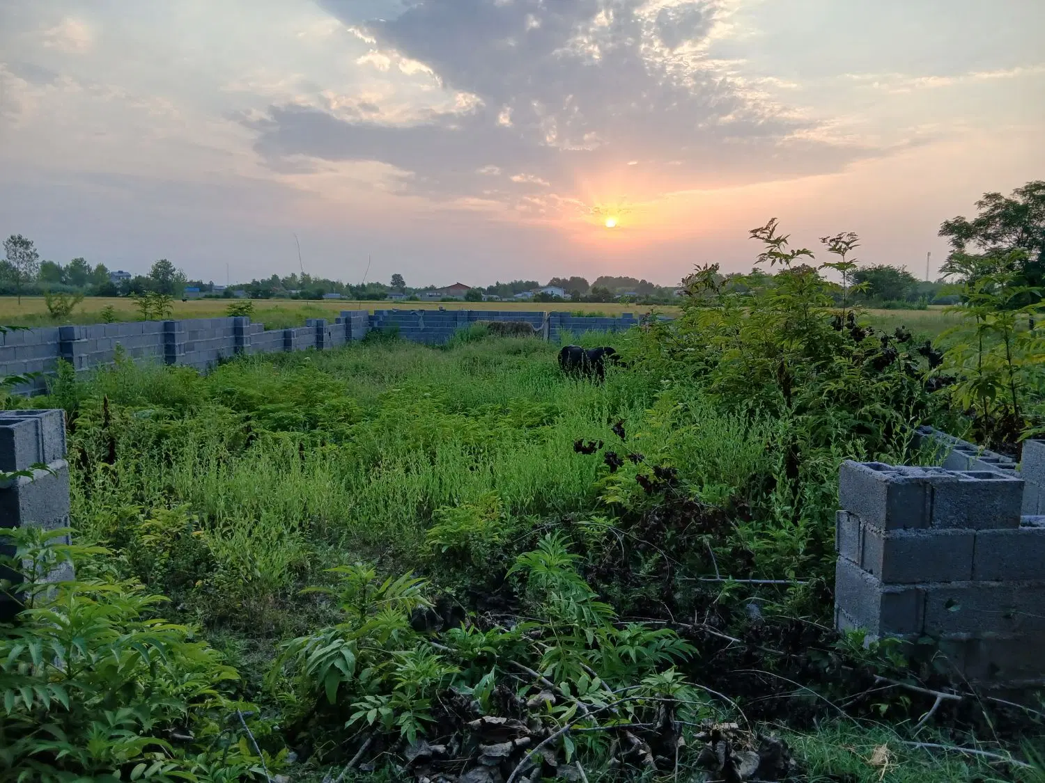 تصویر املاک 136906