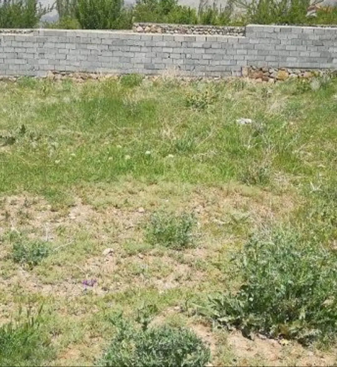 تصویر املاک 114237