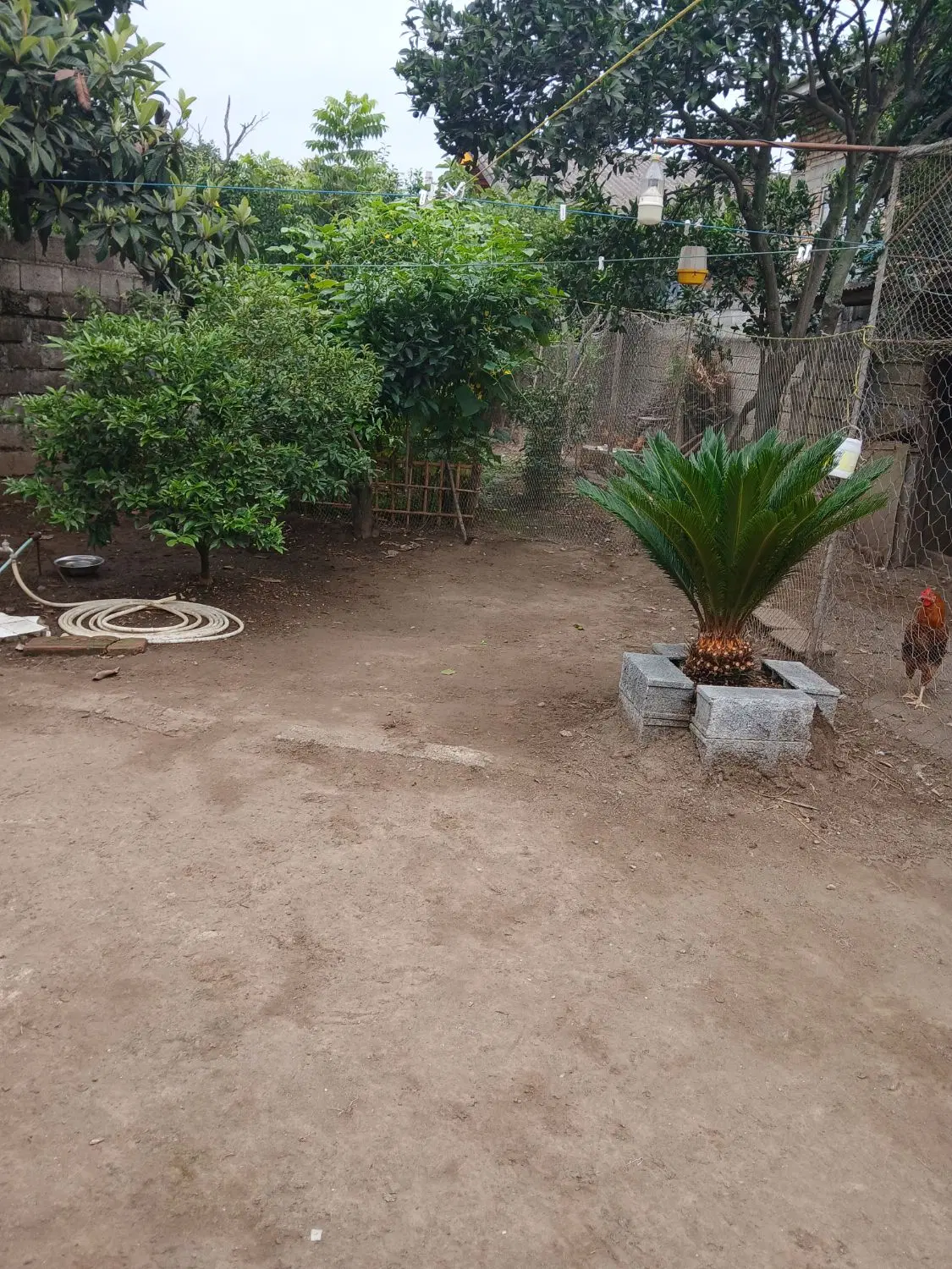 تصویر املاک 129664