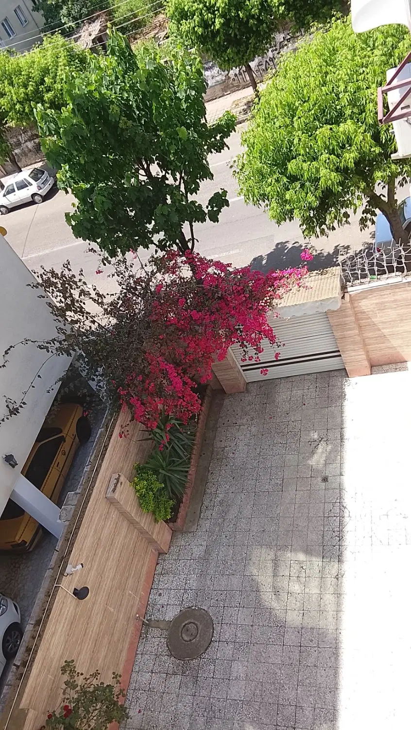 تصویر املاک 98843