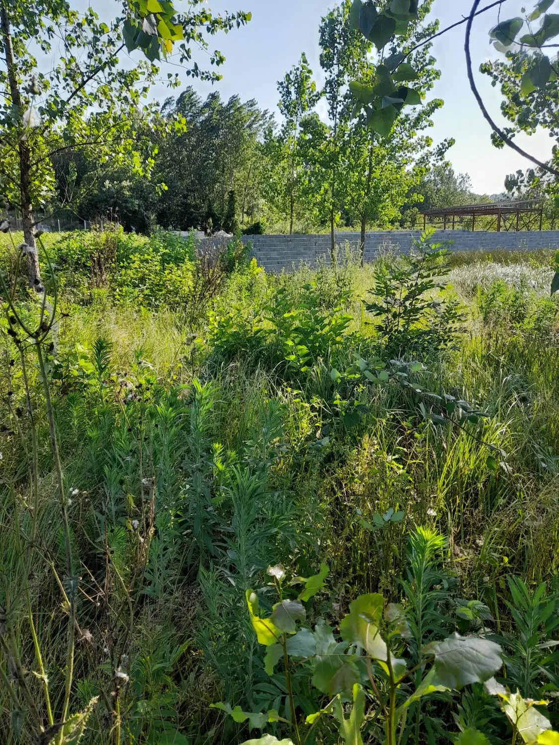 تصویر املاک 76738