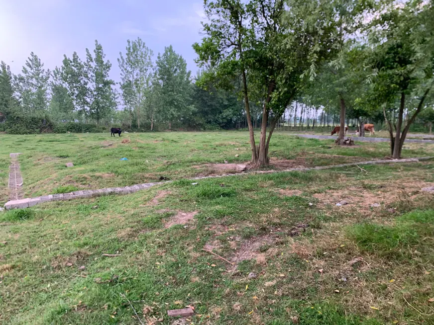 تصویر املاک 131018