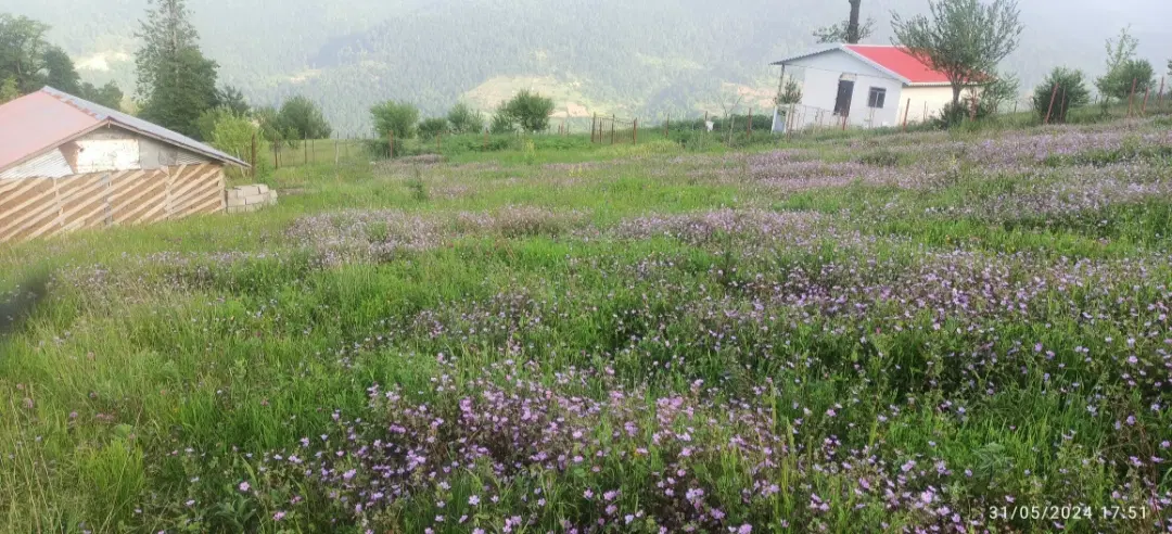 تصویر املاک 93101