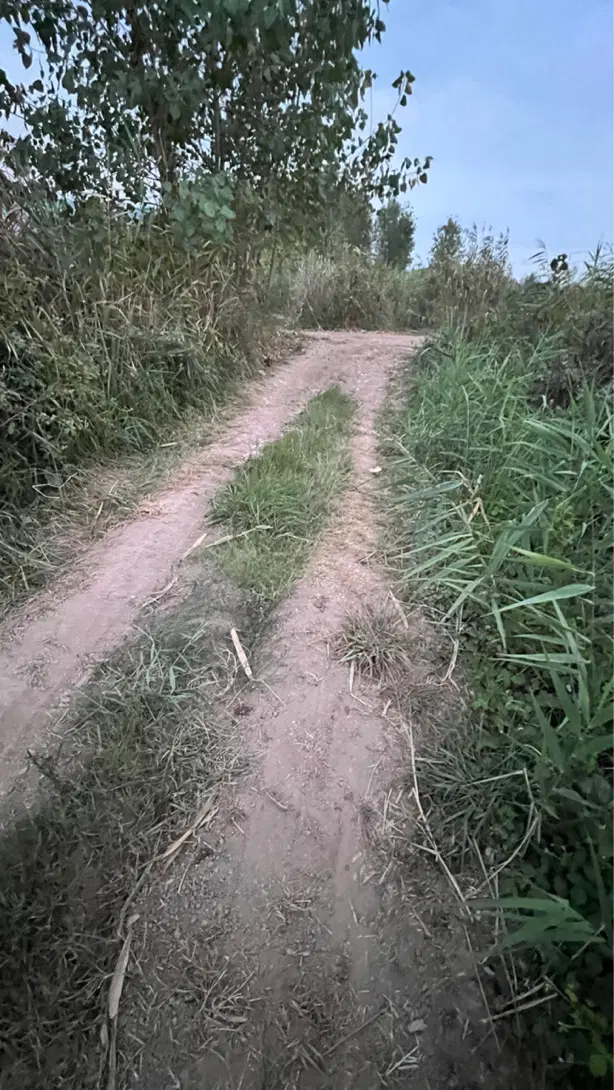 تصویر املاک 113981