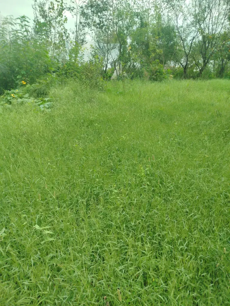 تصویر املاک 140069