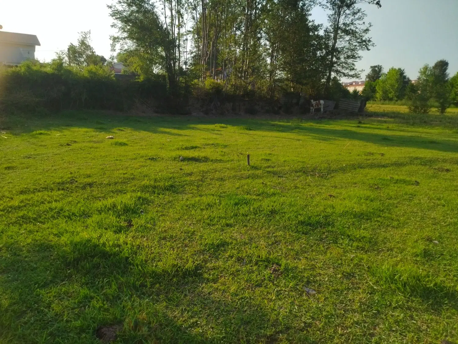 تصویر املاک 99497