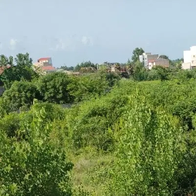 تصویر املاک 110560