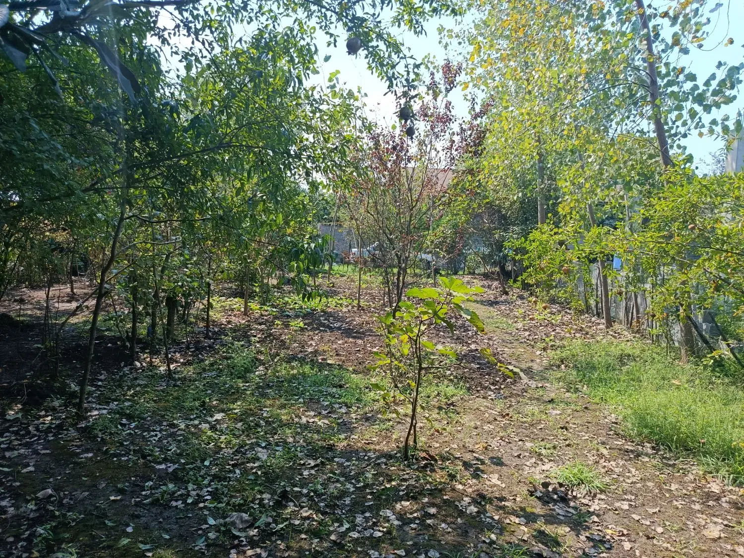 تصویر املاک 128234