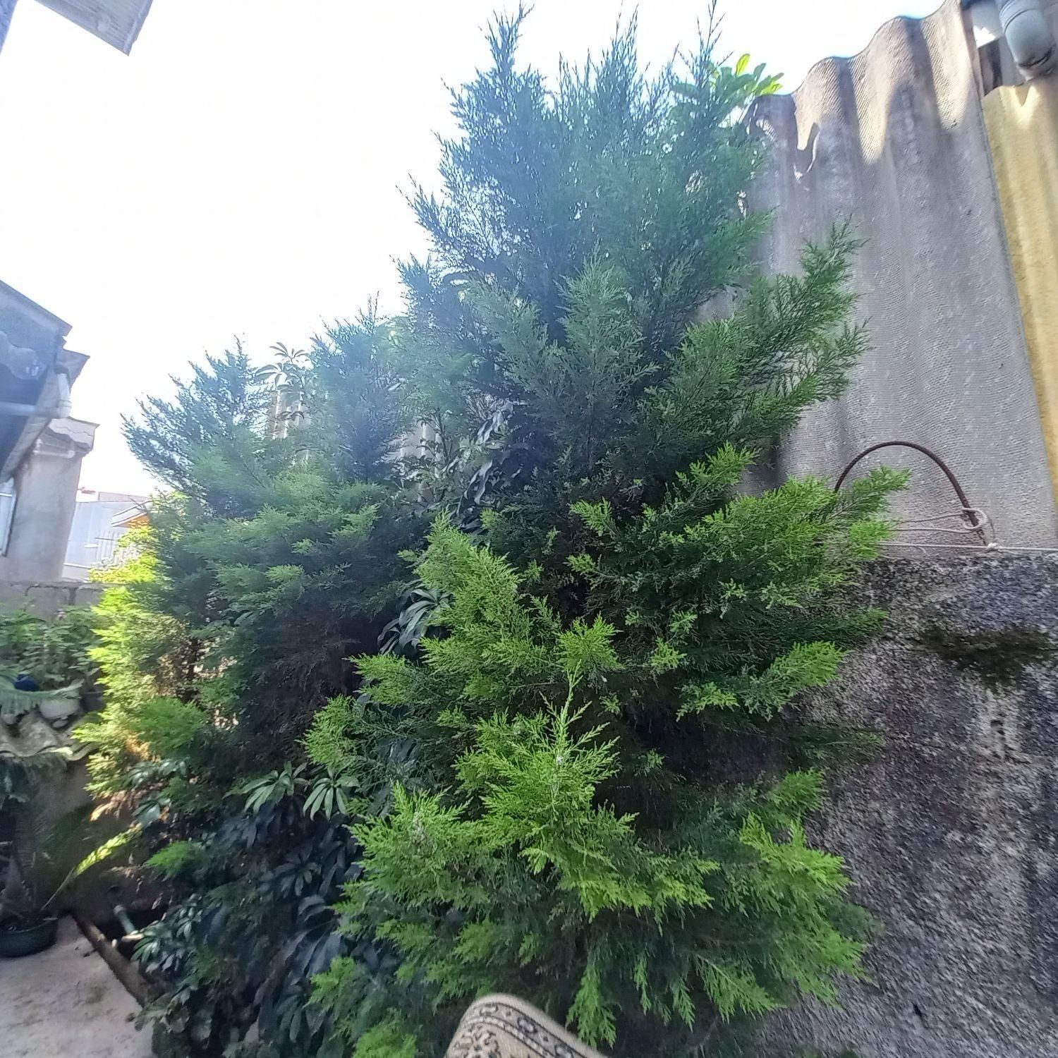 تصویر املاک 50575