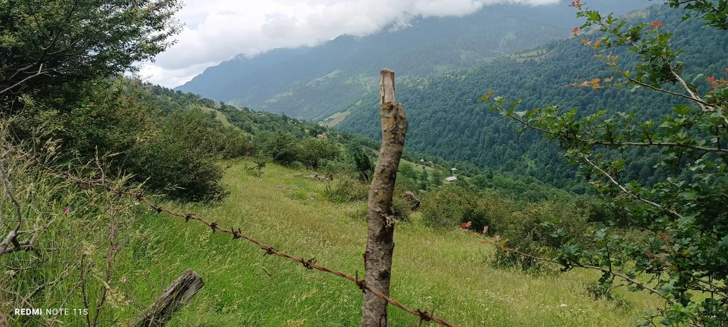 تصویر املاک 63656