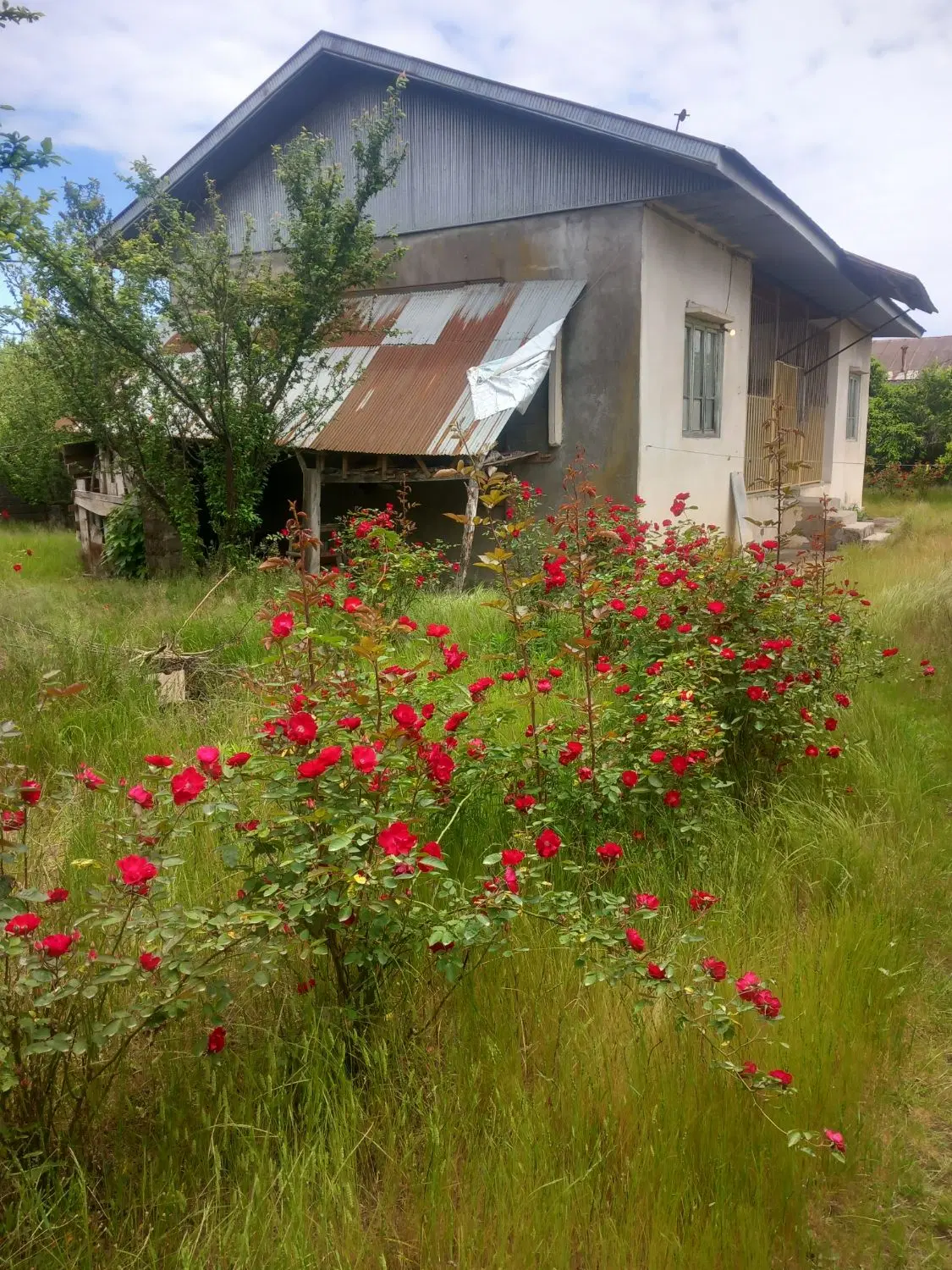 تصویر املاک 111798