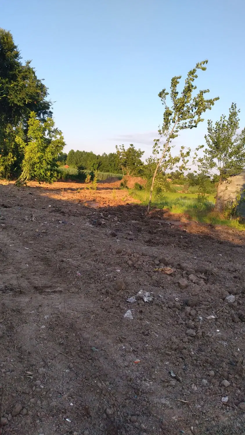 تصویر املاک 95477