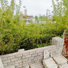 تصویر املاک 58289