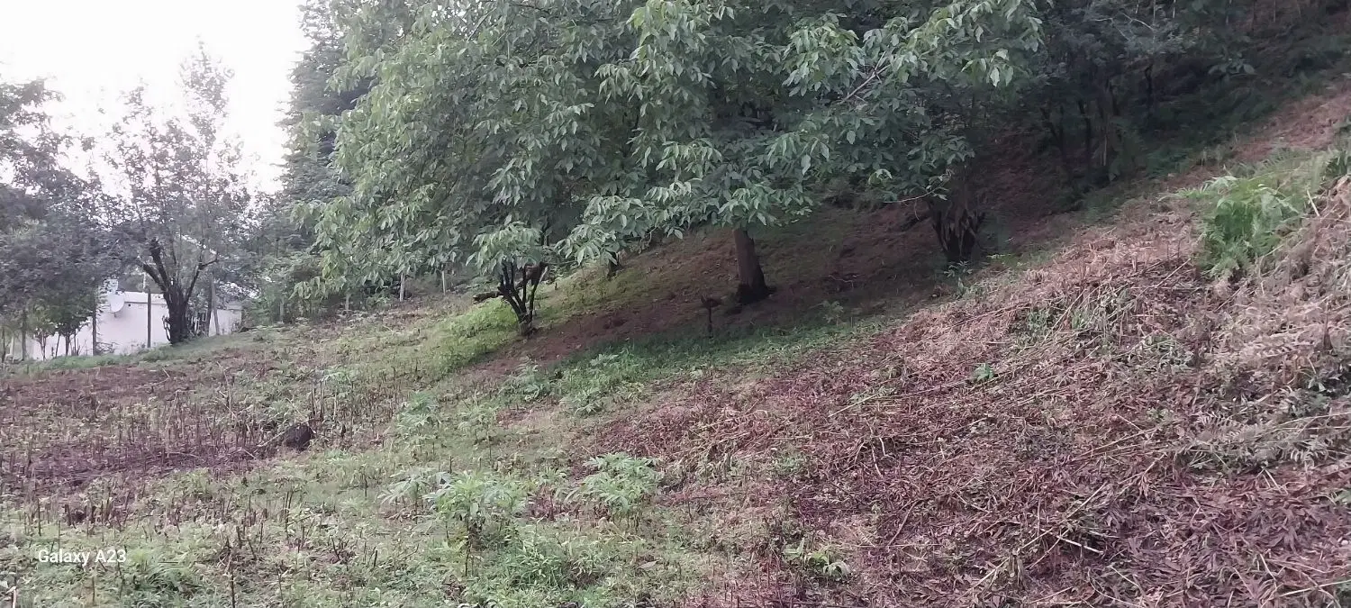تصویر املاک 76204