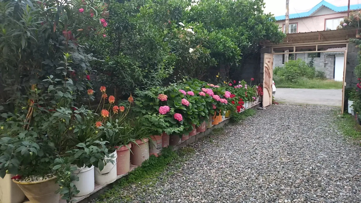 تصویر املاک 99357