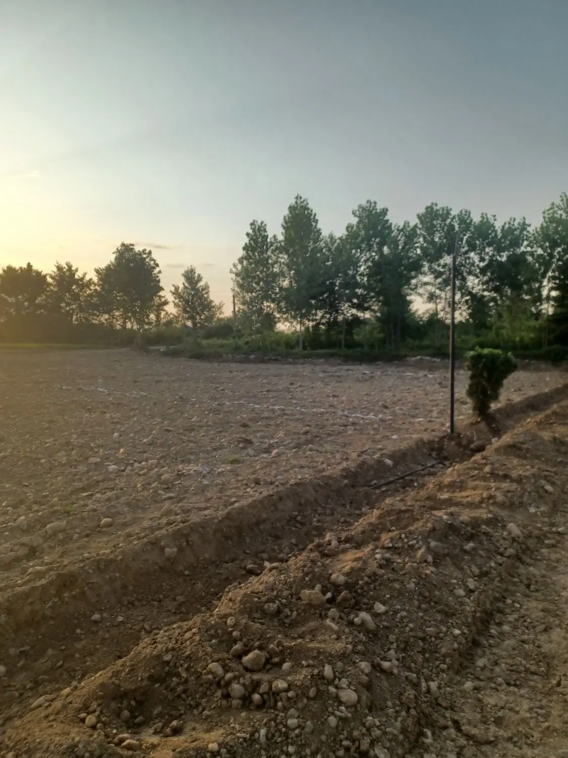 تصویر املاک 81546