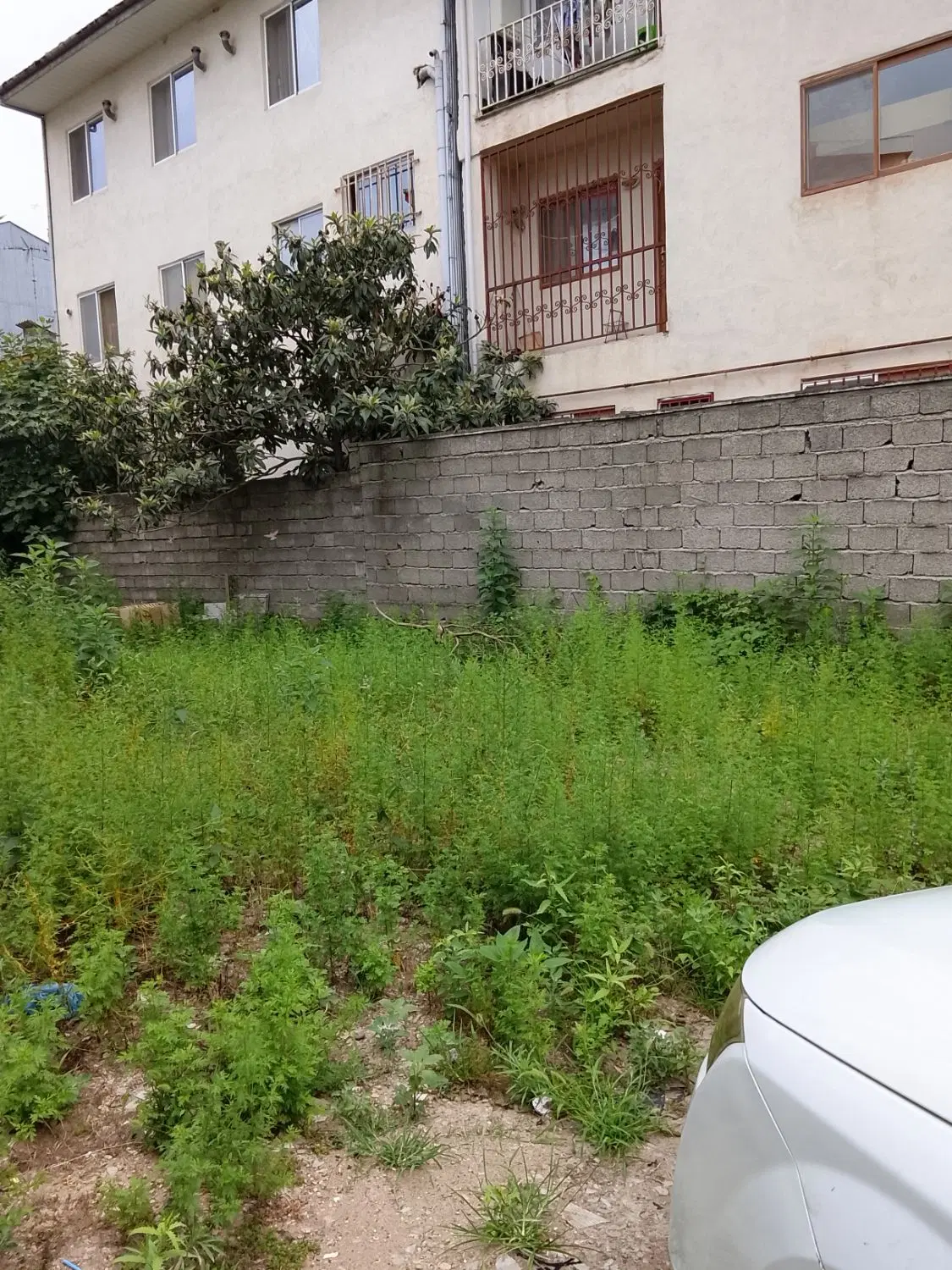 تصویر املاک 99639
