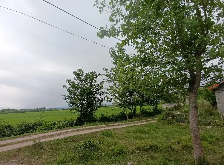 تصویر املاک 76182