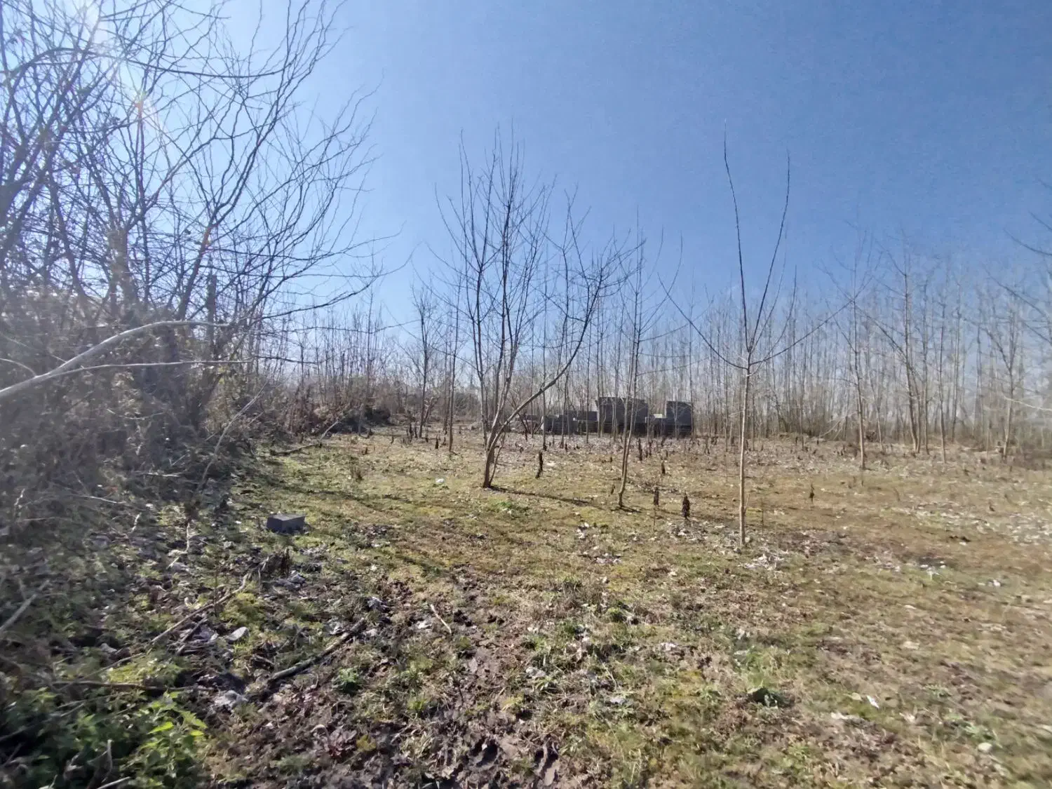 تصویر املاک 31628