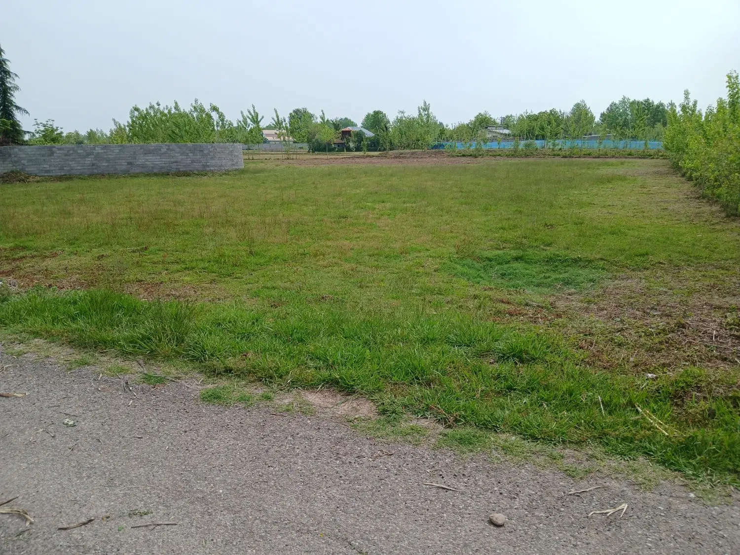 تصویر املاک 65029