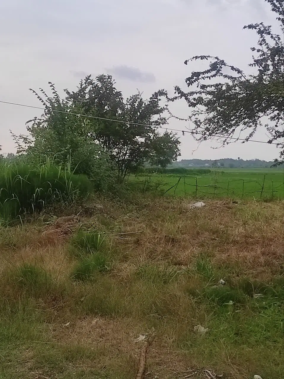 تصویر املاک 96403