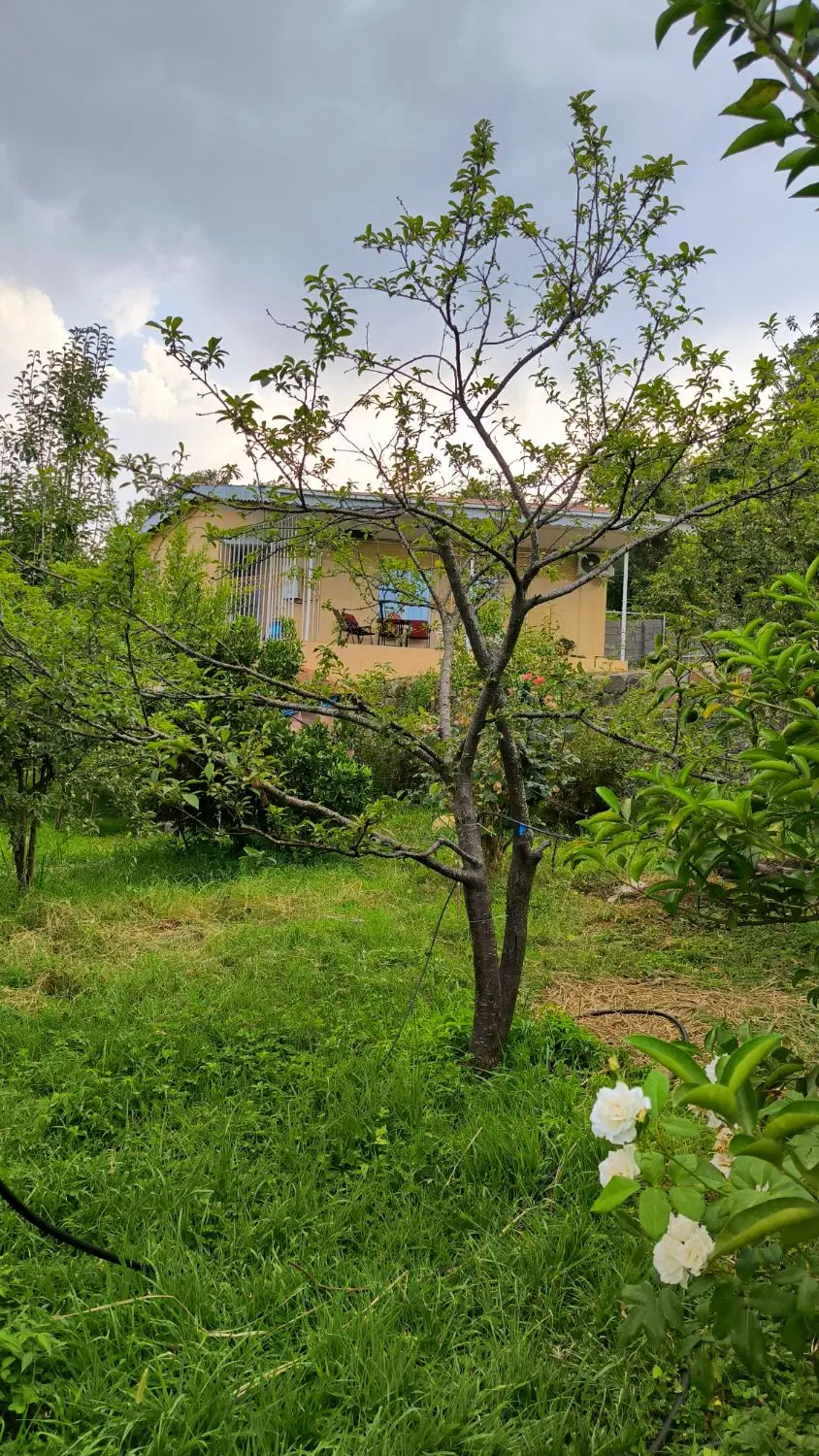 تصویر املاک 73215