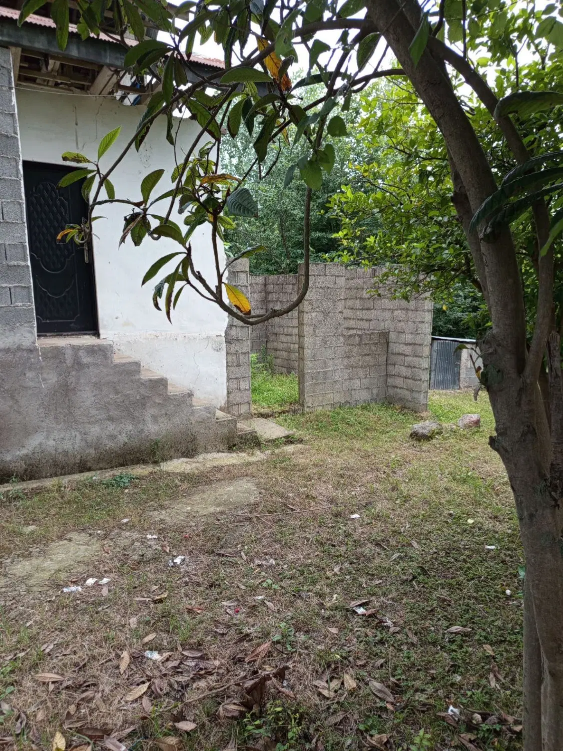تصویر املاک 106326