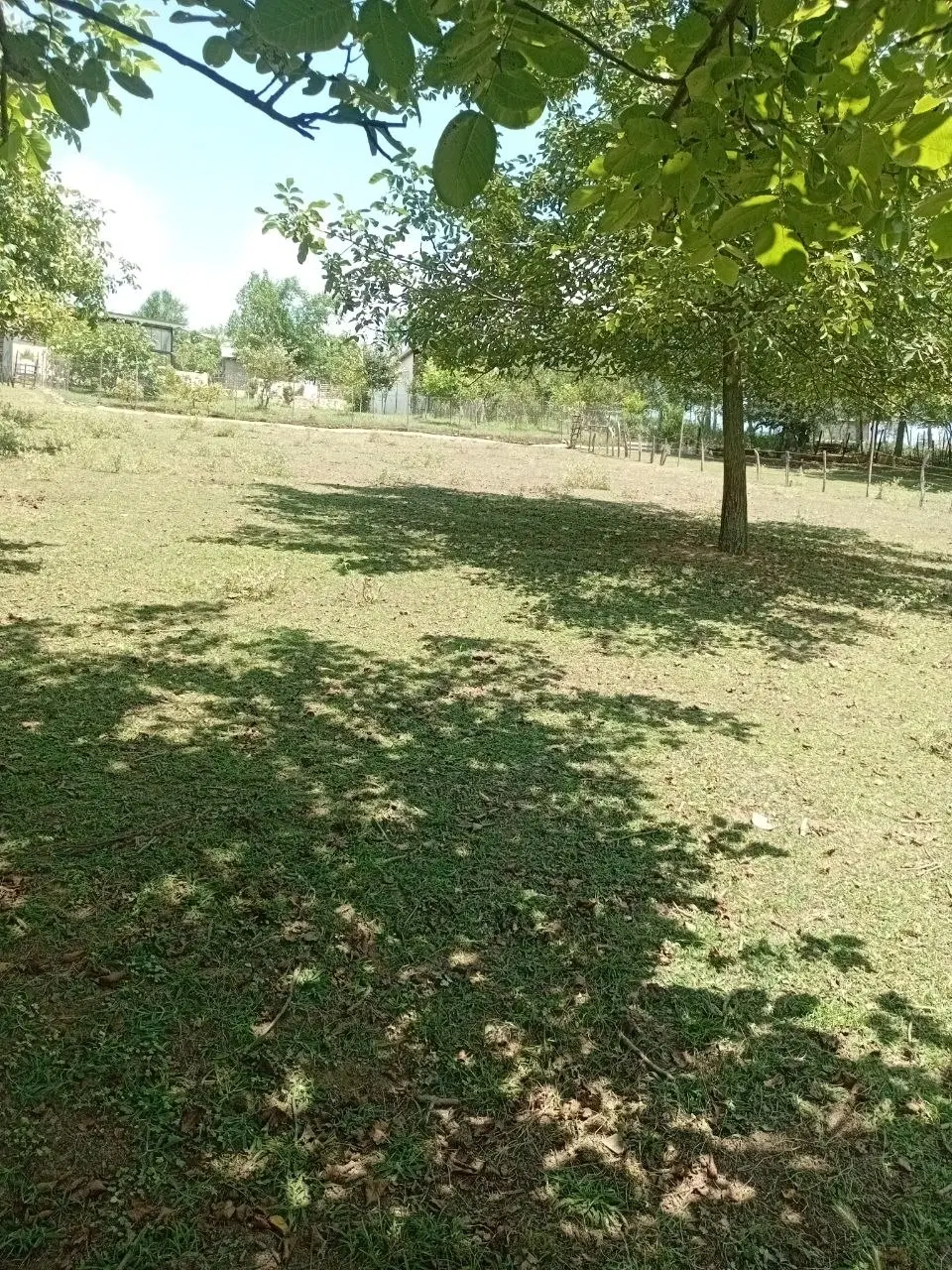 تصویر املاک 99948