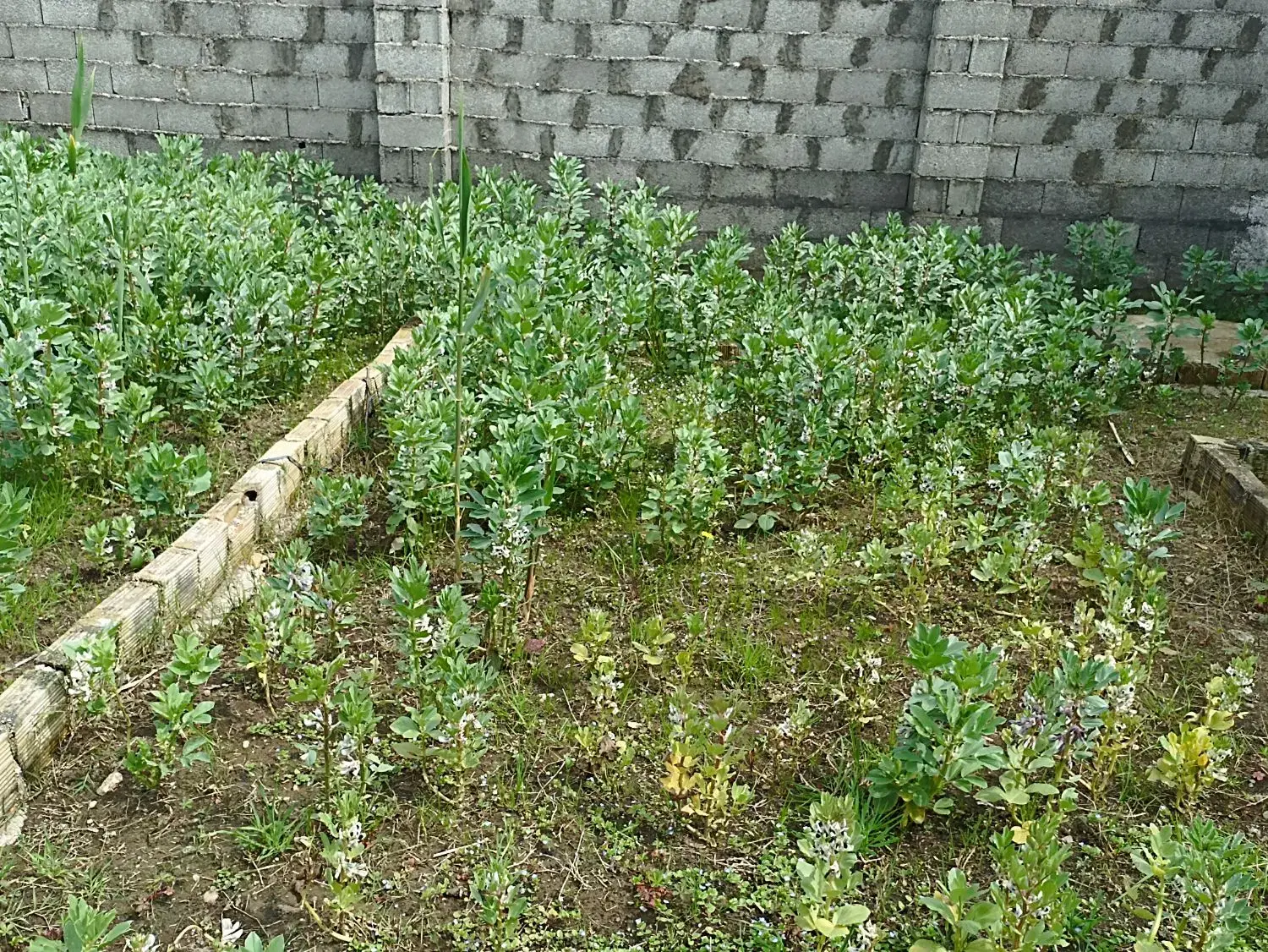 تصویر املاک 73239