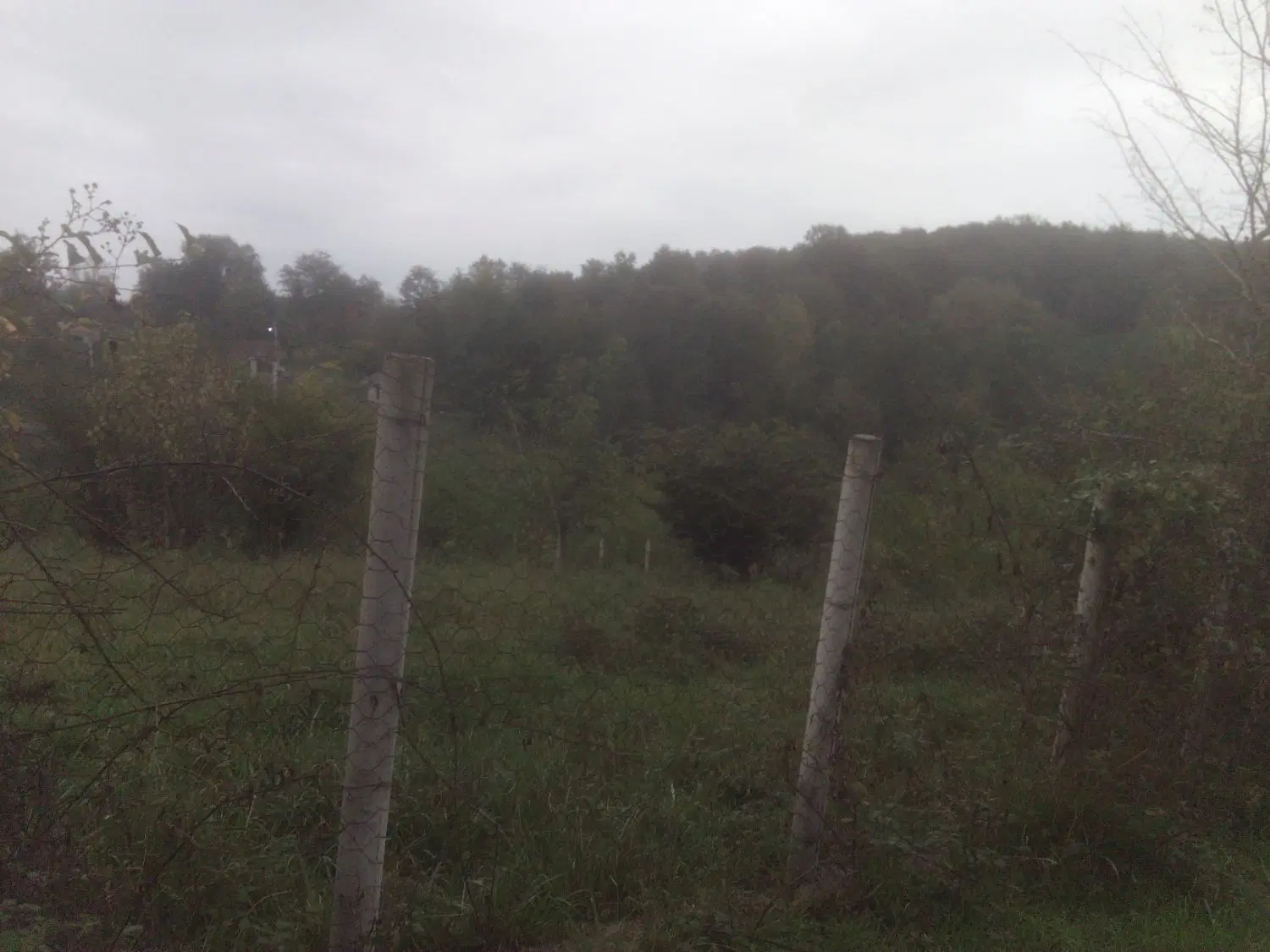 تصویر املاک 133861