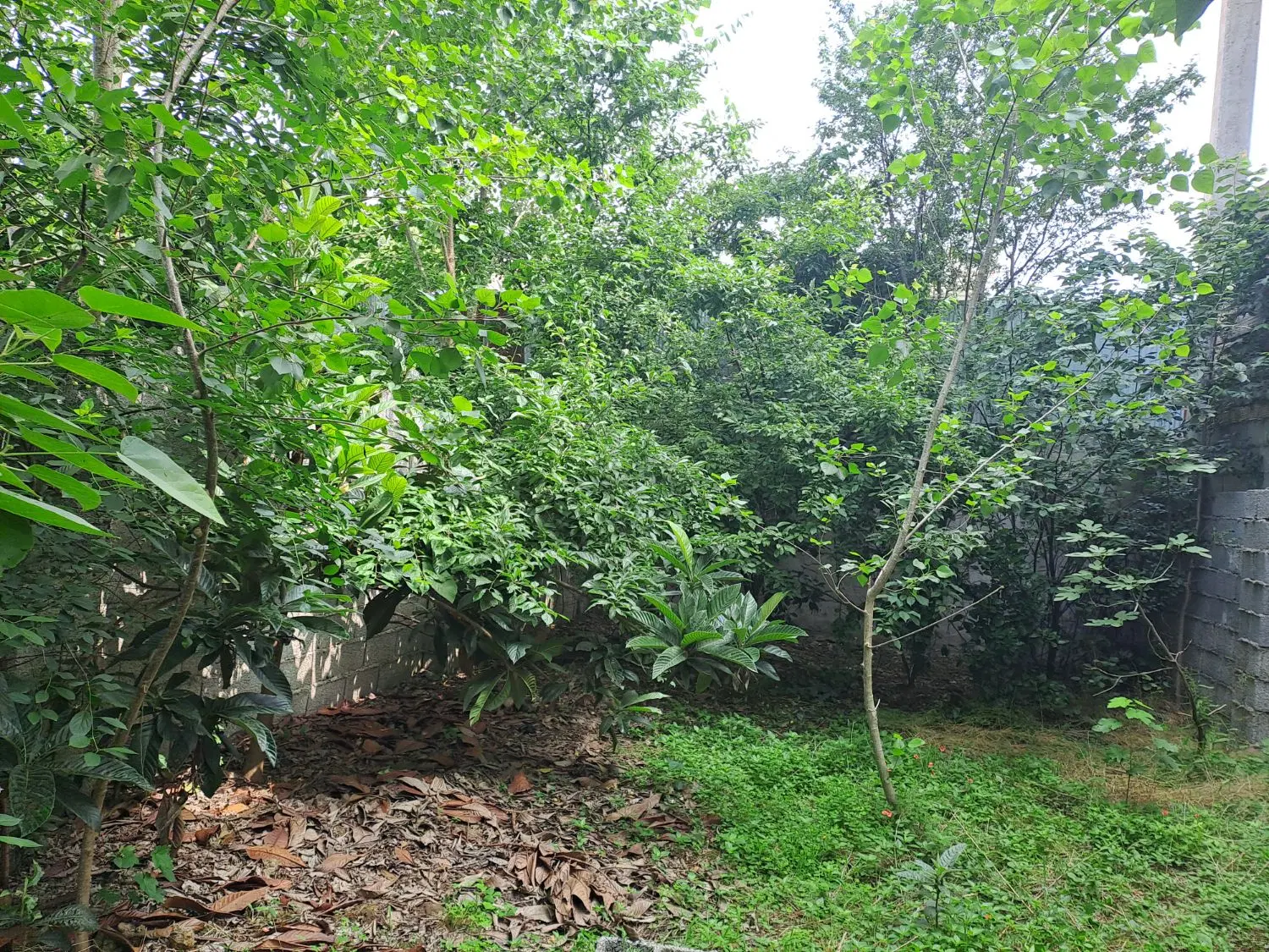 تصویر املاک 52021