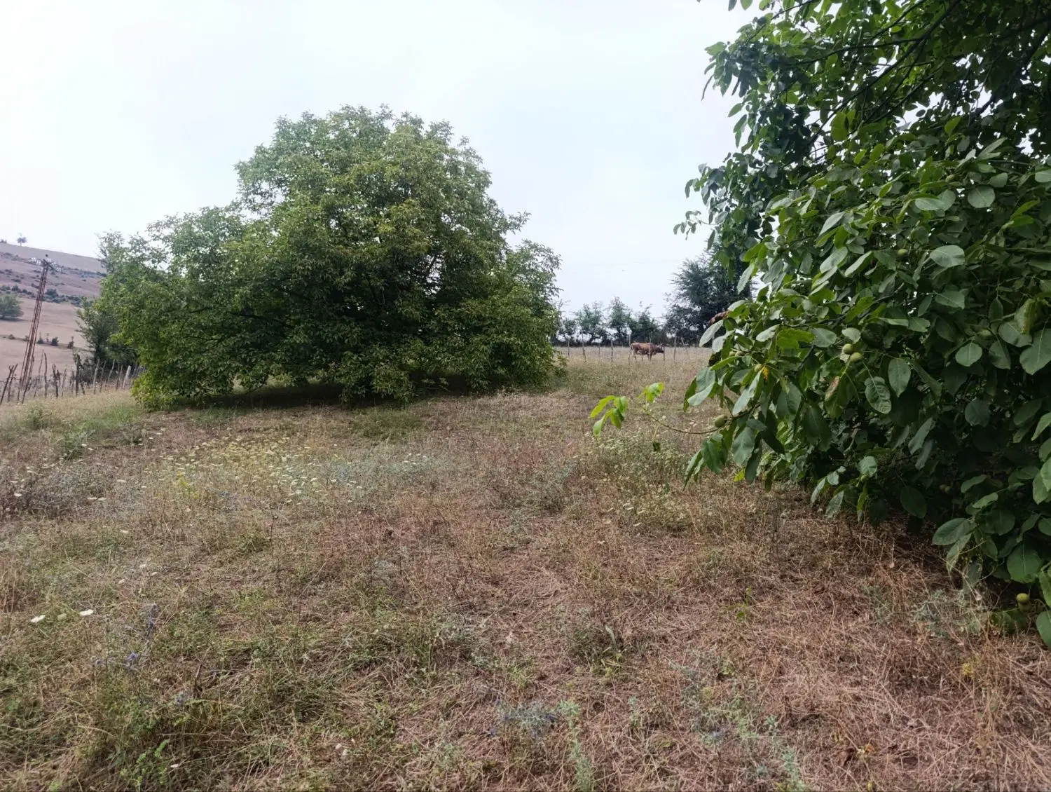 تصویر املاک 91928