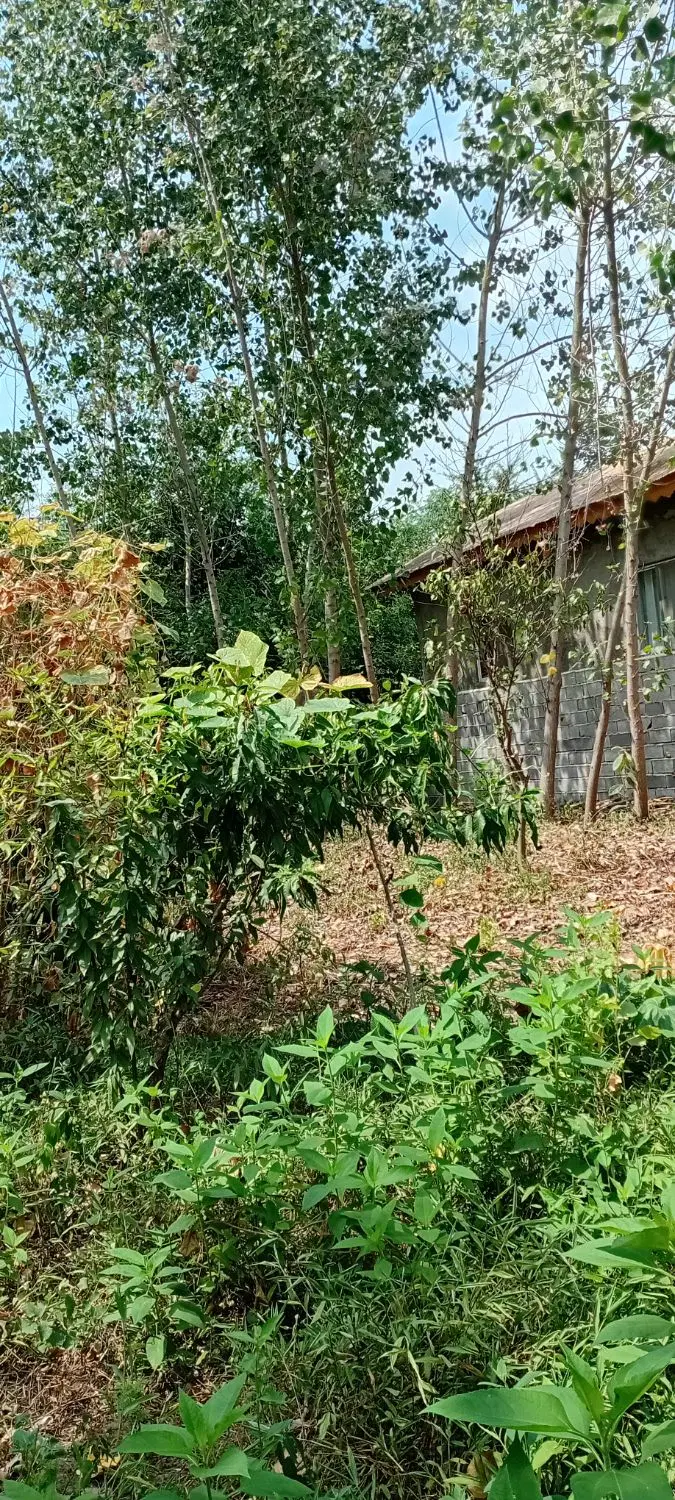 تصویر املاک 102025