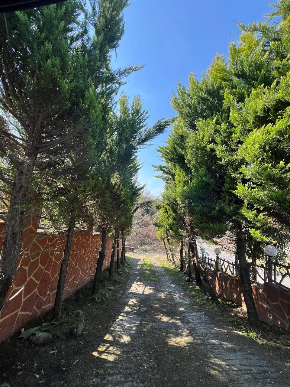 تصویر املاک 115871