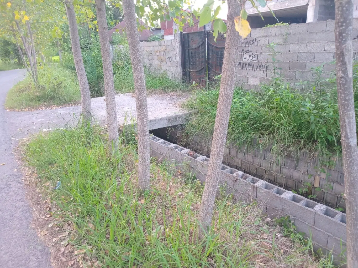 تصویر املاک 81888