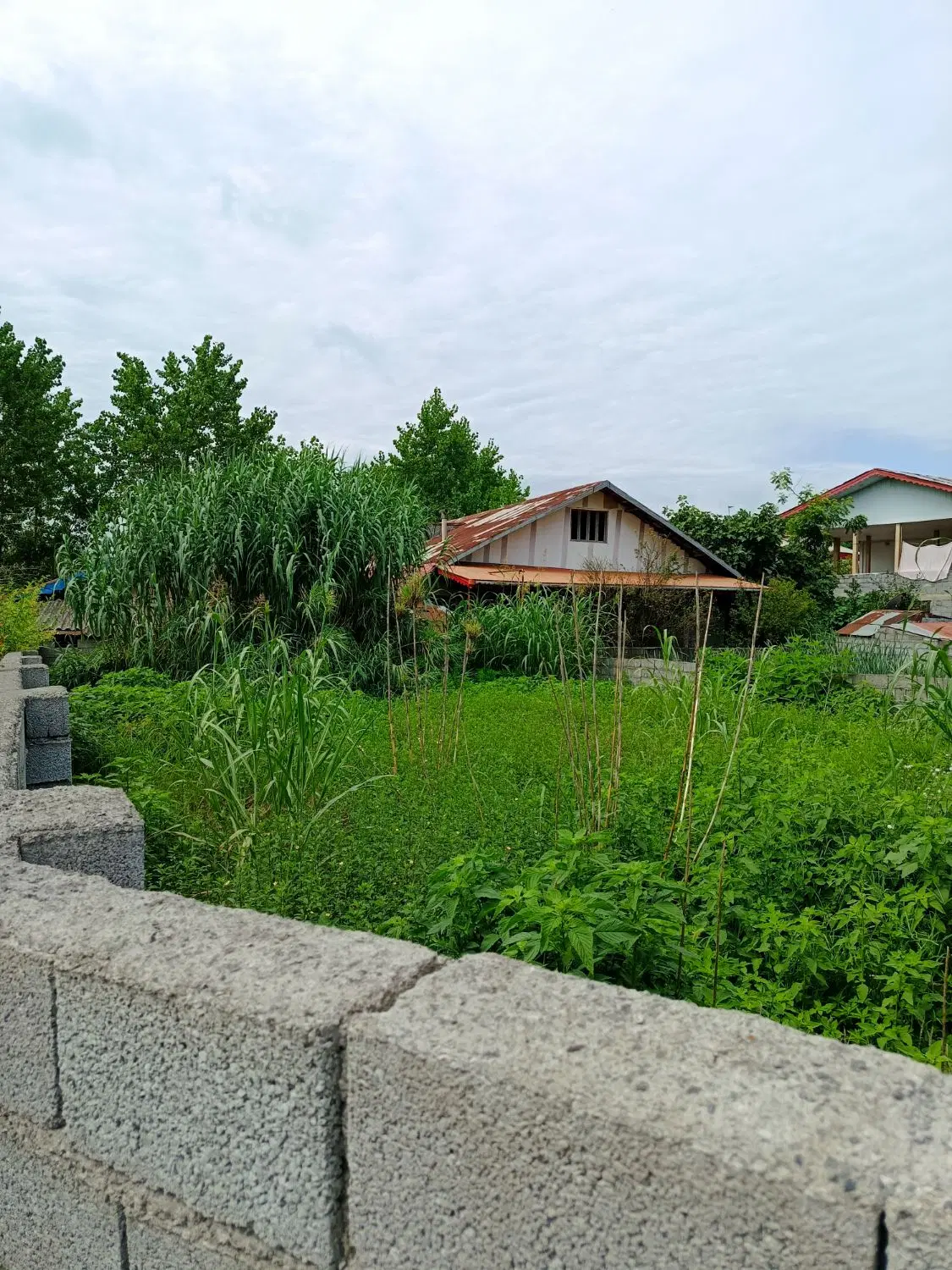 تصویر املاک 73515